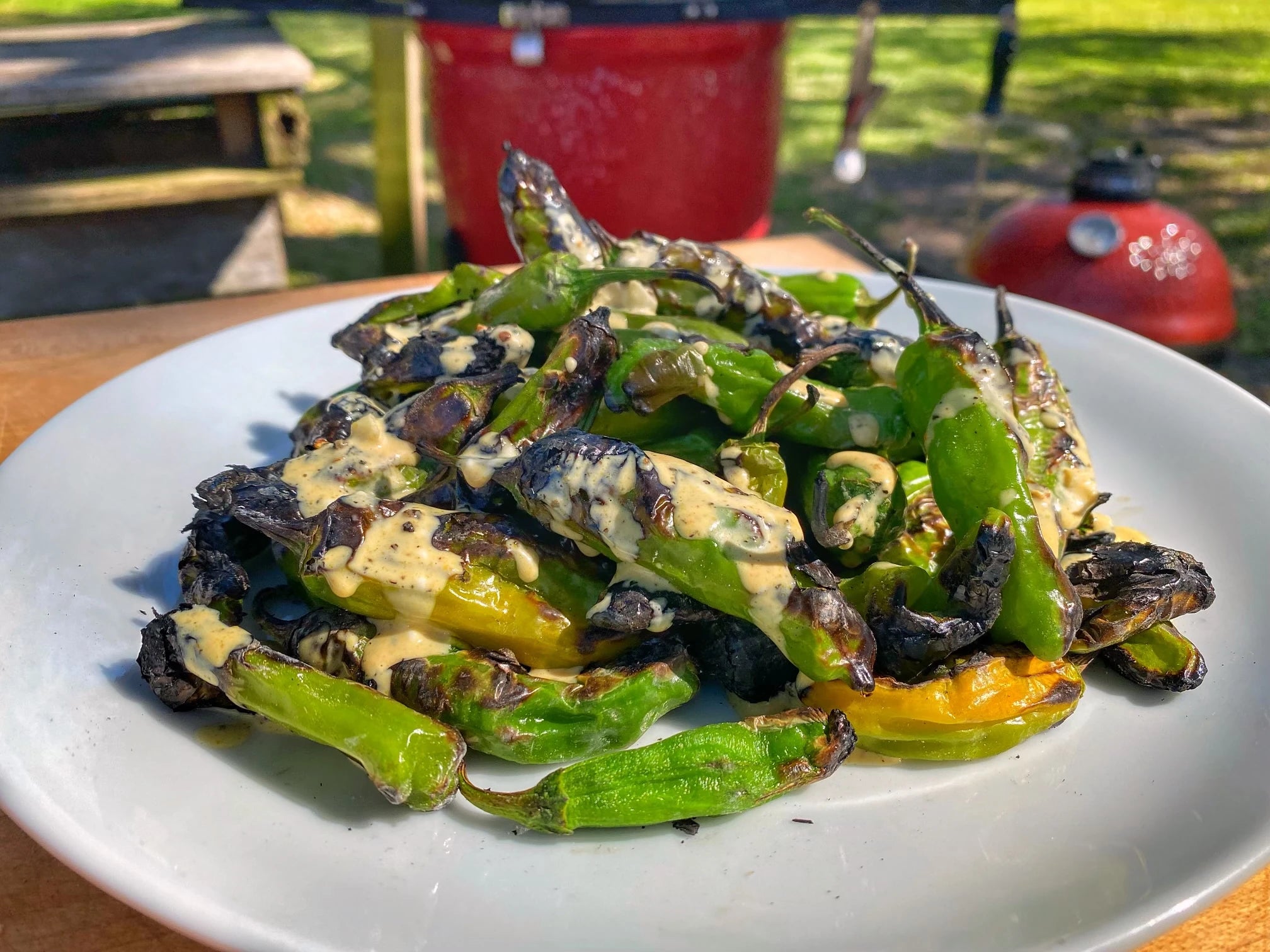 Blistered Shishito Peppers Caveman Style Kamado Joe