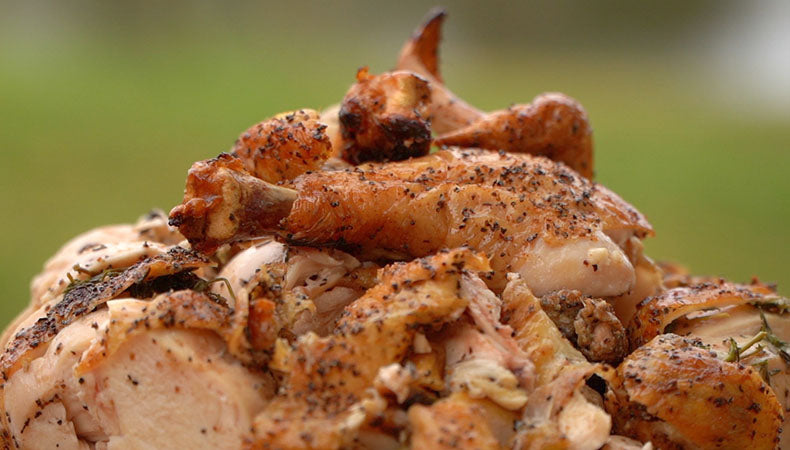 14 of the Best Kamado Joe Recipes Spatchcock Chicken Recipe