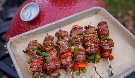 Easy Sticky Teriyaki Elk Skewers