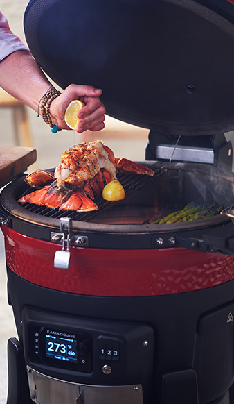 Barbecue Kamado En Céramique 32 Cm - Portable, Avec Thermomètre - Pour Charbon De Bois, Idéal Camping, Jardin Et Balcon - 12